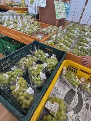 ２０２５キラキラマーケット_2713 (6).jpg