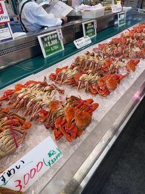 ２０２５万代島鮮魚 (1).jpeg