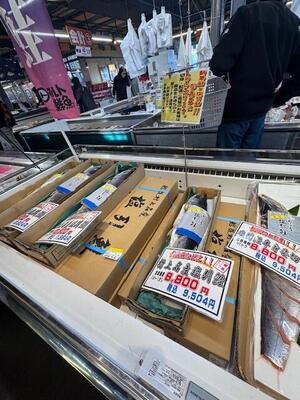 ２０２５万代島鮮魚 (5).jpeg