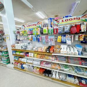 スーパーひまわり_3025 (4).JPG