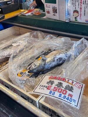 ２０２５万代島鮮魚 (4).jpeg