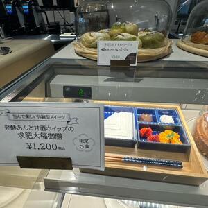 ２０２６菊水IMG_3934 (11).JPG