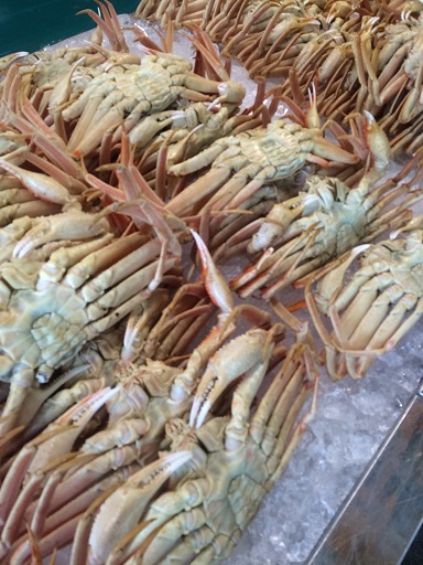 ピア万代 1 2014 1226.jpg