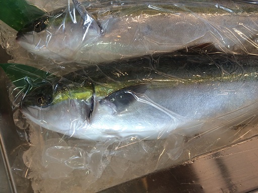 ピア万代 2 20141226.jpg