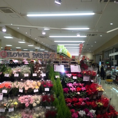 原信 3 2014 12 5.jpg