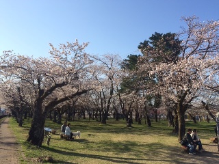 20150409.15.03.jpg