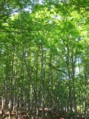 IMG_7084.JPGのサムネイル画像