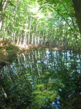 IMG_7085.JPGのサムネイル画像