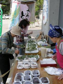 130503tempra2.JPGのサムネイル画像