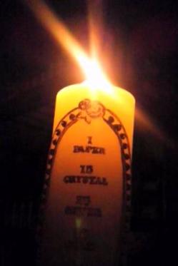 DSC_2400.JPGのサムネイル画像