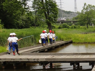 小学生観察会0528.jpg
