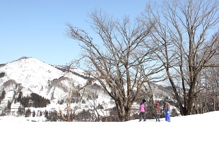 5スノーシュー (2) (3).jpg