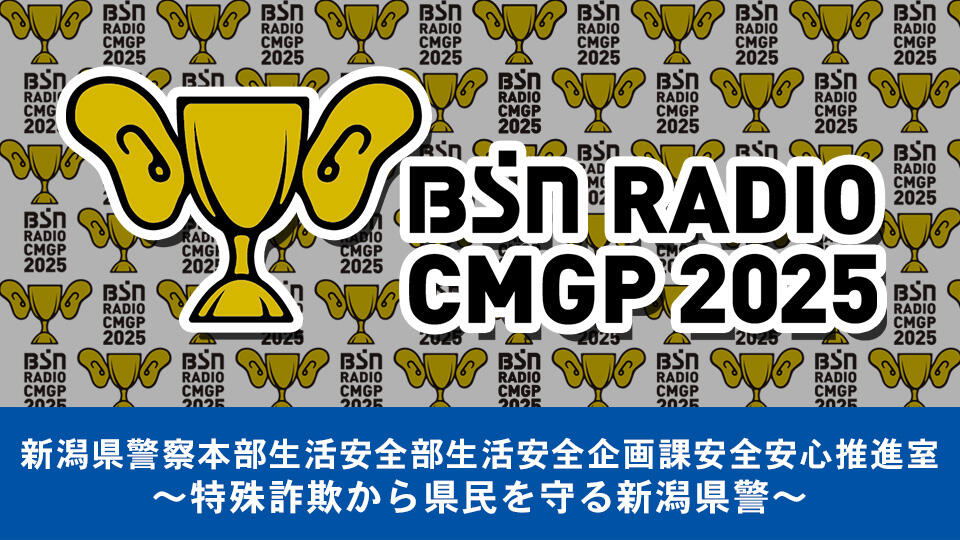 新潟県警察本部生活安全部生活安全企画課安全安心推進室イメージ