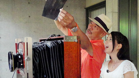 佐渡、そして佐渡の天然杉