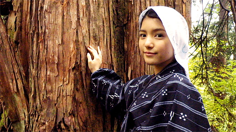 佐渡、そして佐渡の天然杉