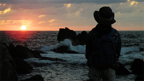 佐渡、そして佐渡の天然杉