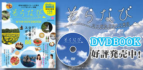 そらなび にいがたドローン紀行 お出かけDVDBOOK