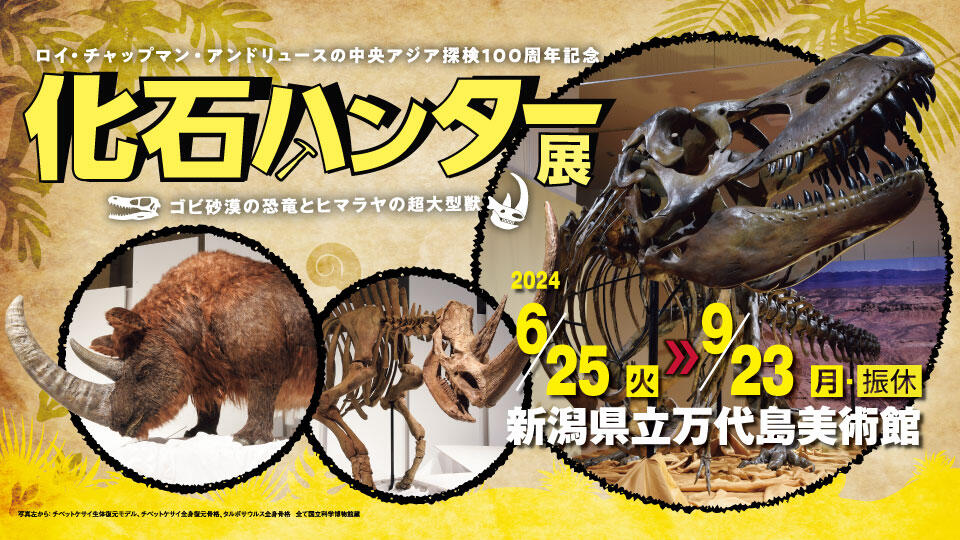 0135_化石ハンター展 in 新潟県立万代島美術館