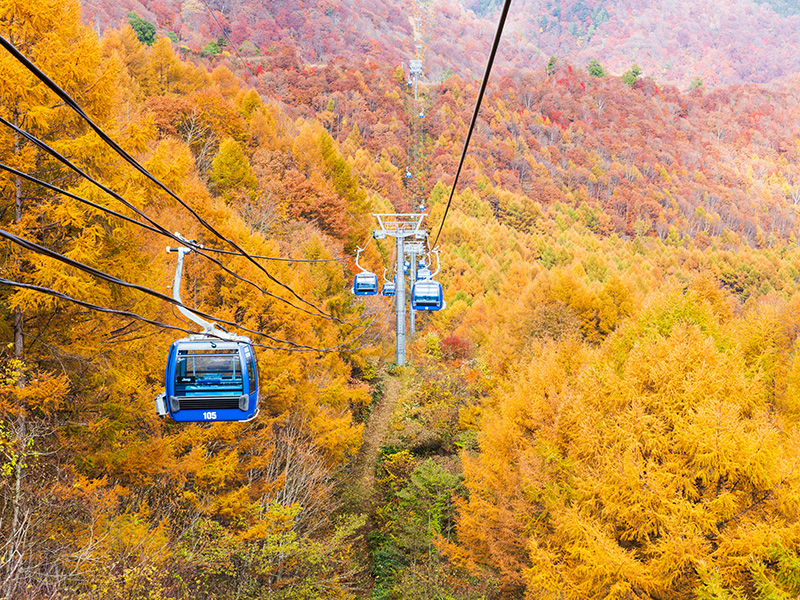 苗場ドラゴンドラのイメージ画像