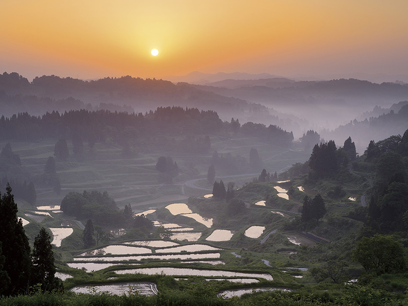 星峠の棚田のイメージ画像