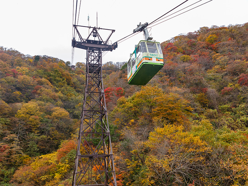 弥彦ロープウェイのイメージ画像