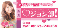 新潟ジョシ部！イメージ