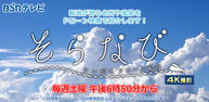 そらなび　にいがたドローン紀行イメージ