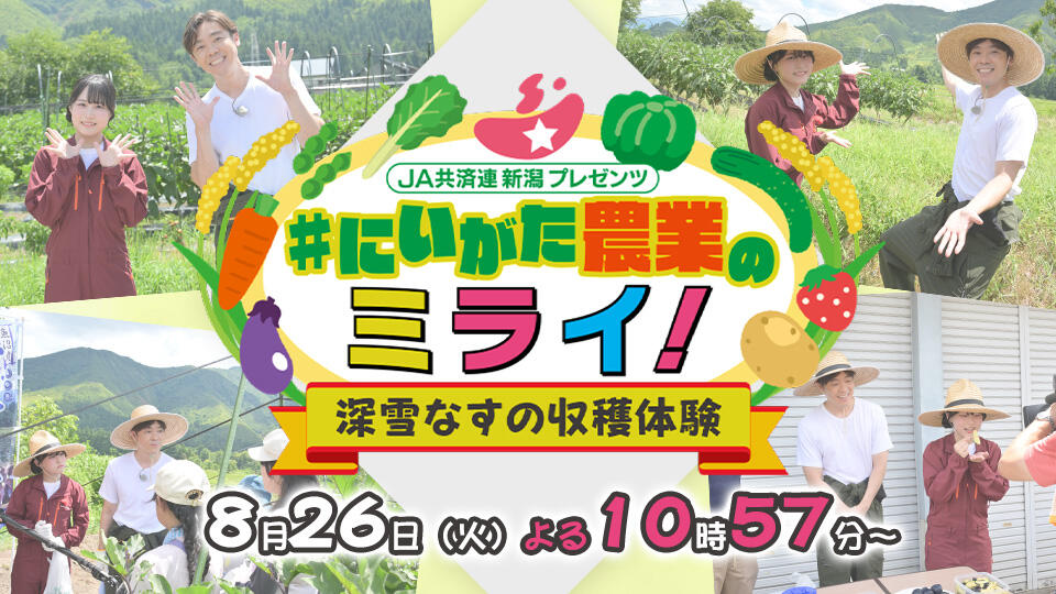 JA共済連 新潟プレゼンツ　#にいがた農業のミライ！  なす収穫篇（魚沼市）