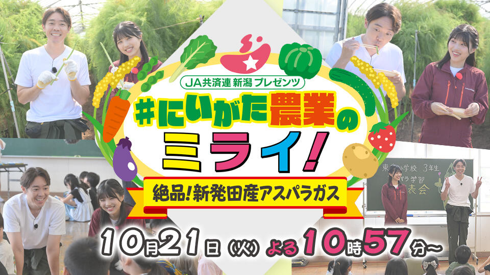 JA共済連 新潟プレゼンツ　#にいがた農業のミライ！ 絶品！新発田産アスパラガス