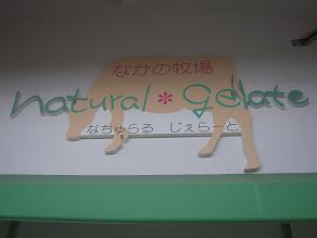 DSCN20119231142 (16).jpg