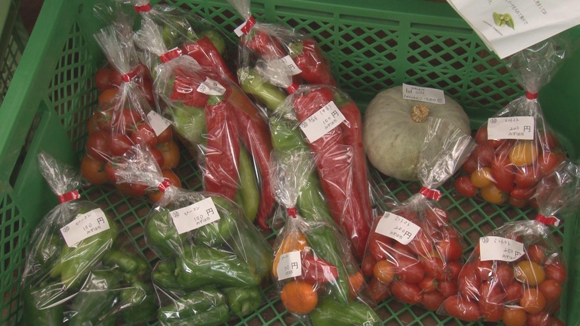 みずほ市_画像2