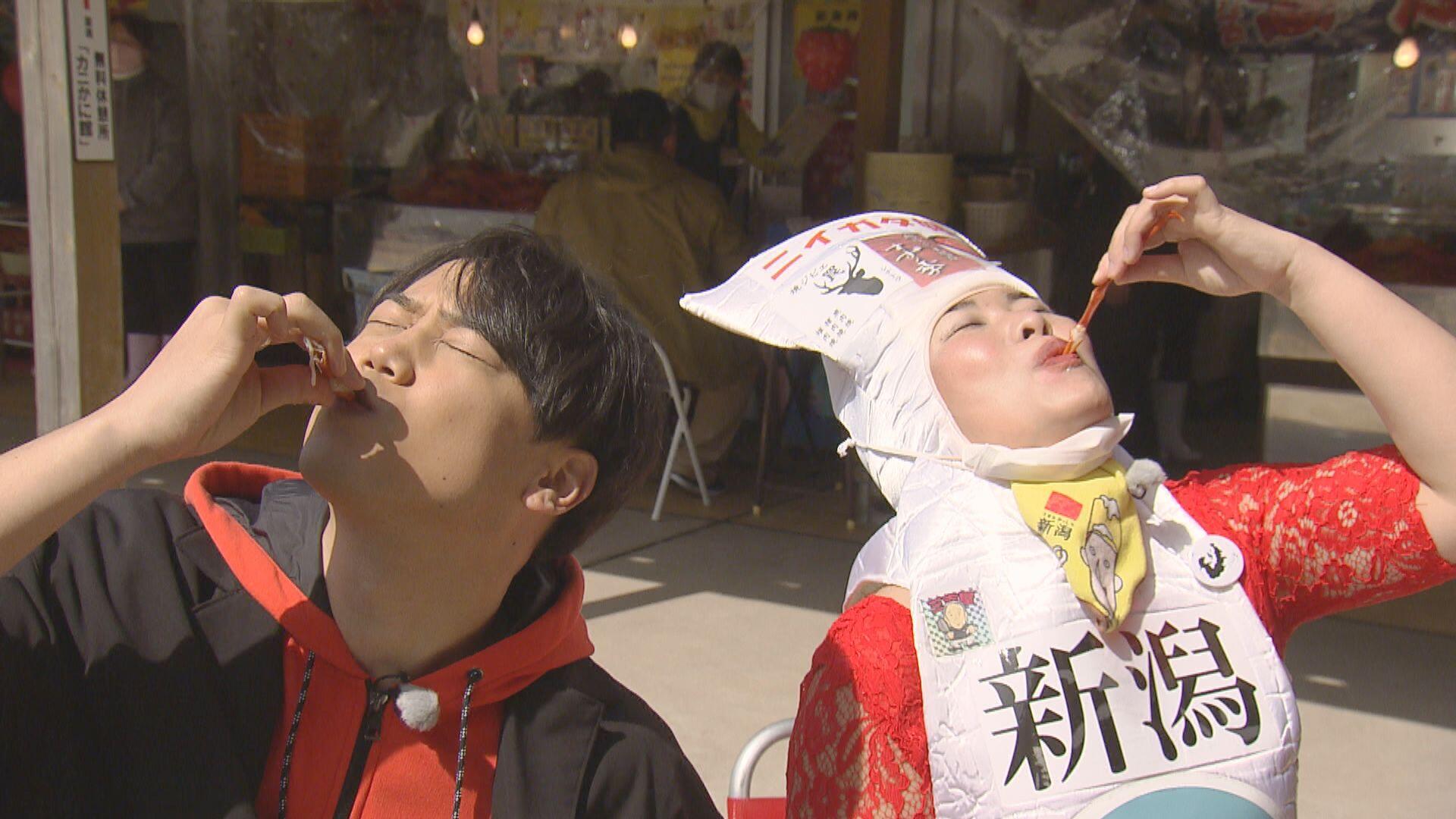 マリンドリーム能生_画像1