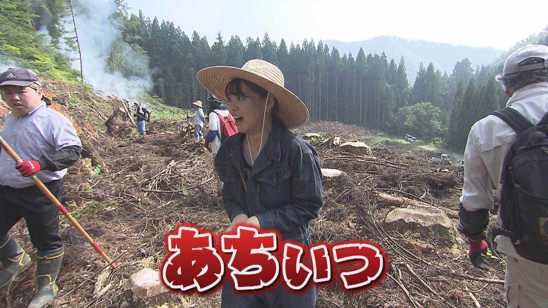 村上市山北＿画像１