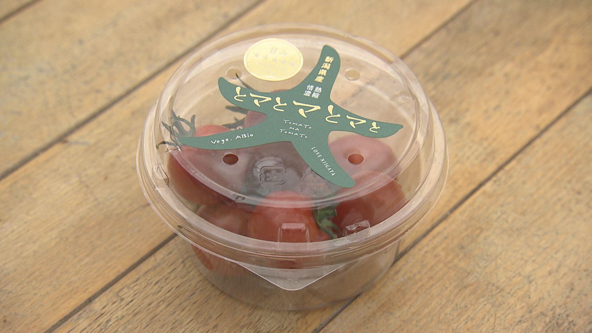 株式会社 ベジ・アビオ_画像1