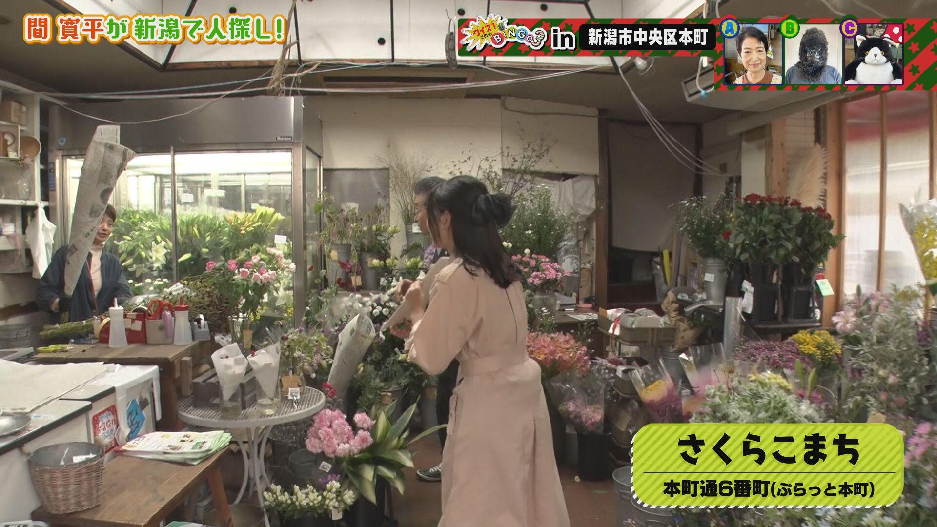 サクラコマチ_画像1