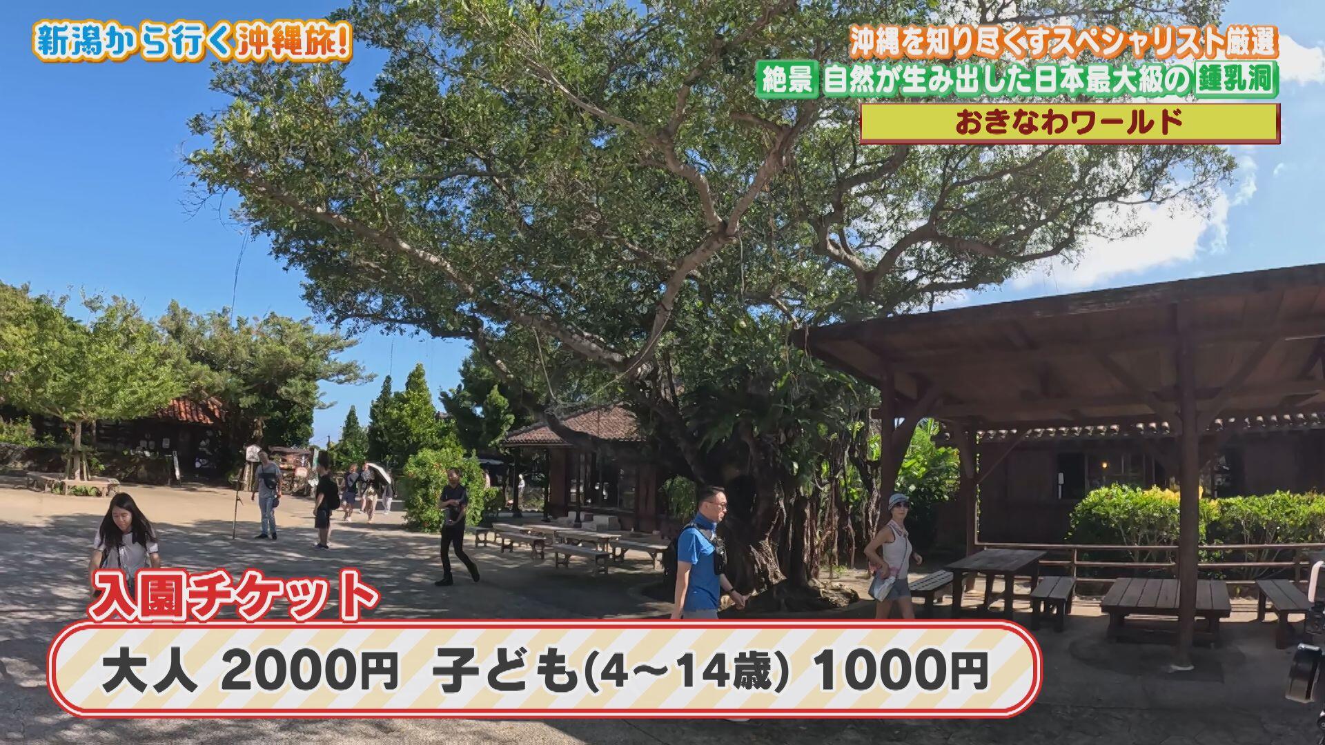 おきなわワールド_画像2