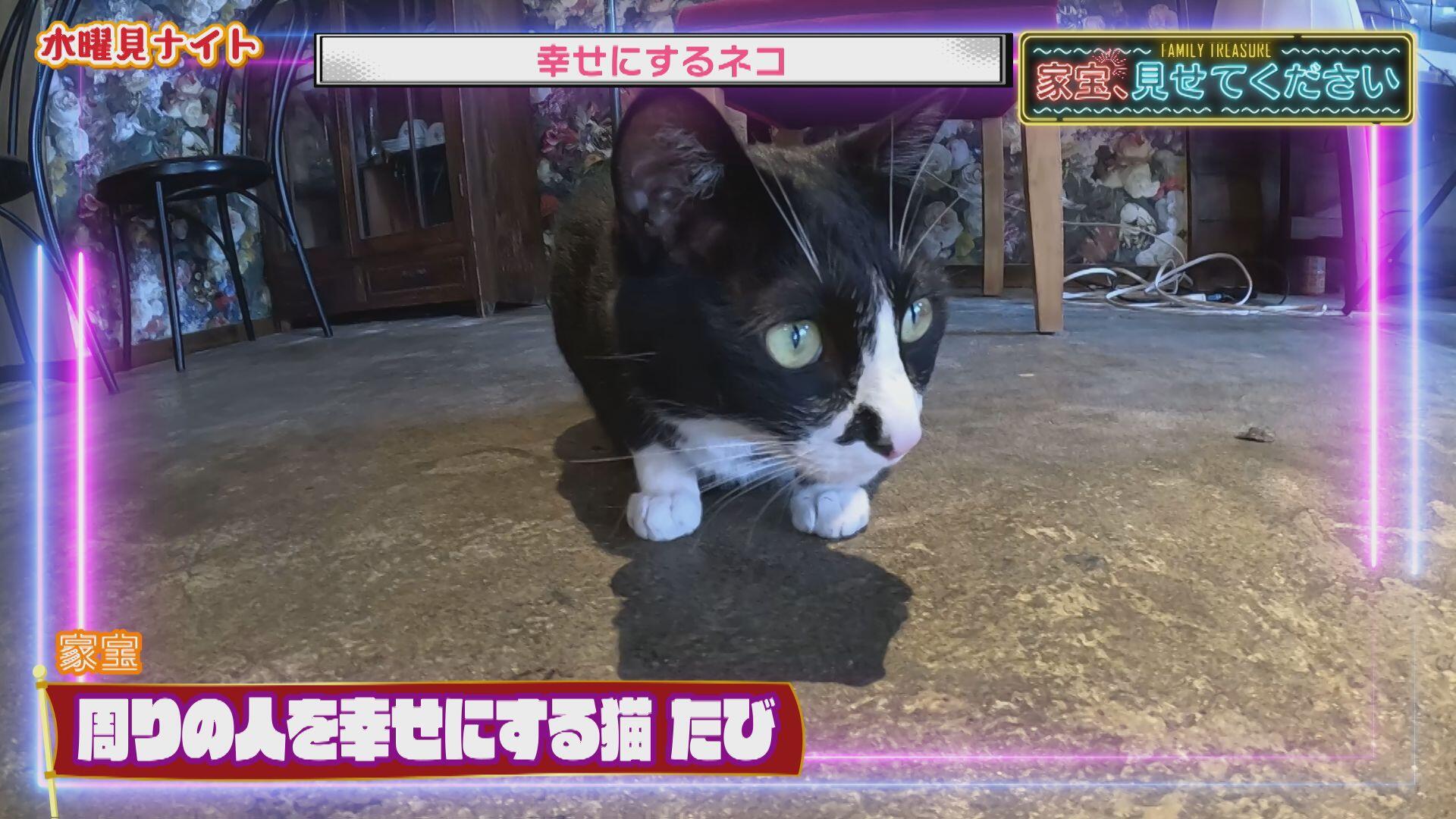 五徳屋十兵衛_画像2