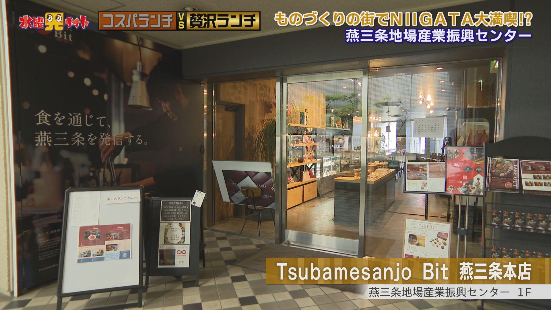 Tsubamesanjo Bit 燕三条本店＿画像１