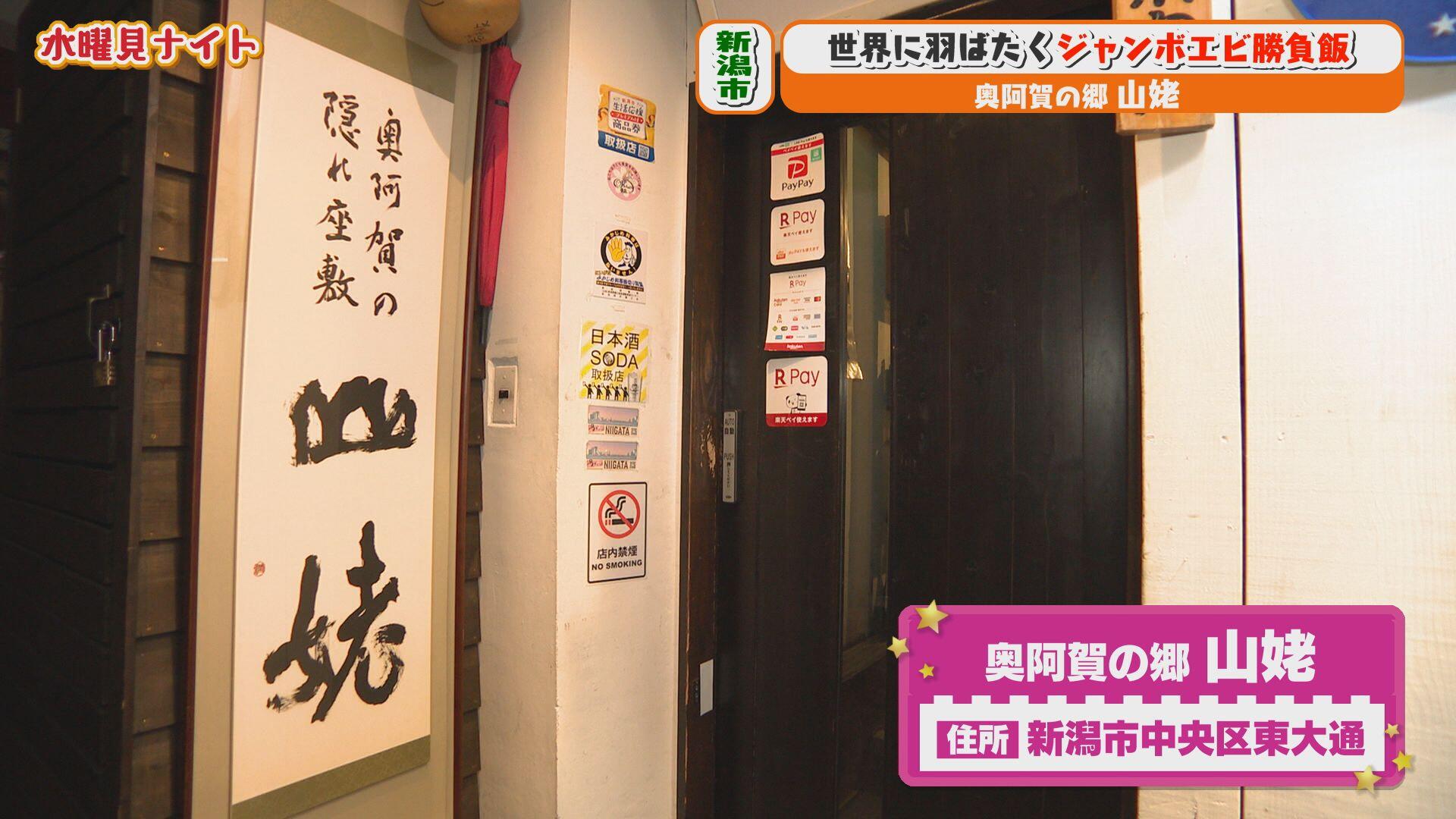 奥阿賀の郷 山姥＿画像１