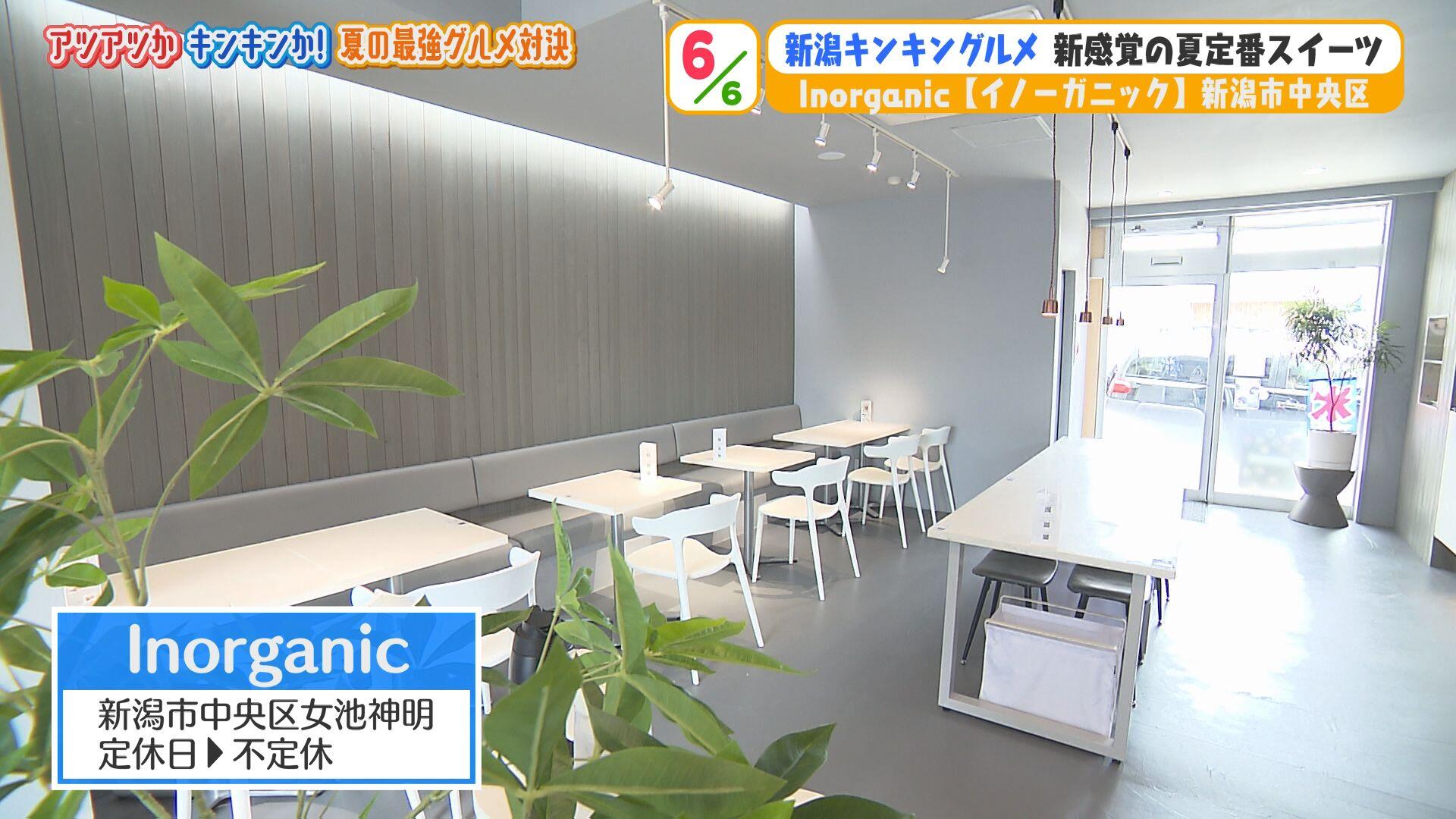 inorganic (イノーガニック)＿画像１