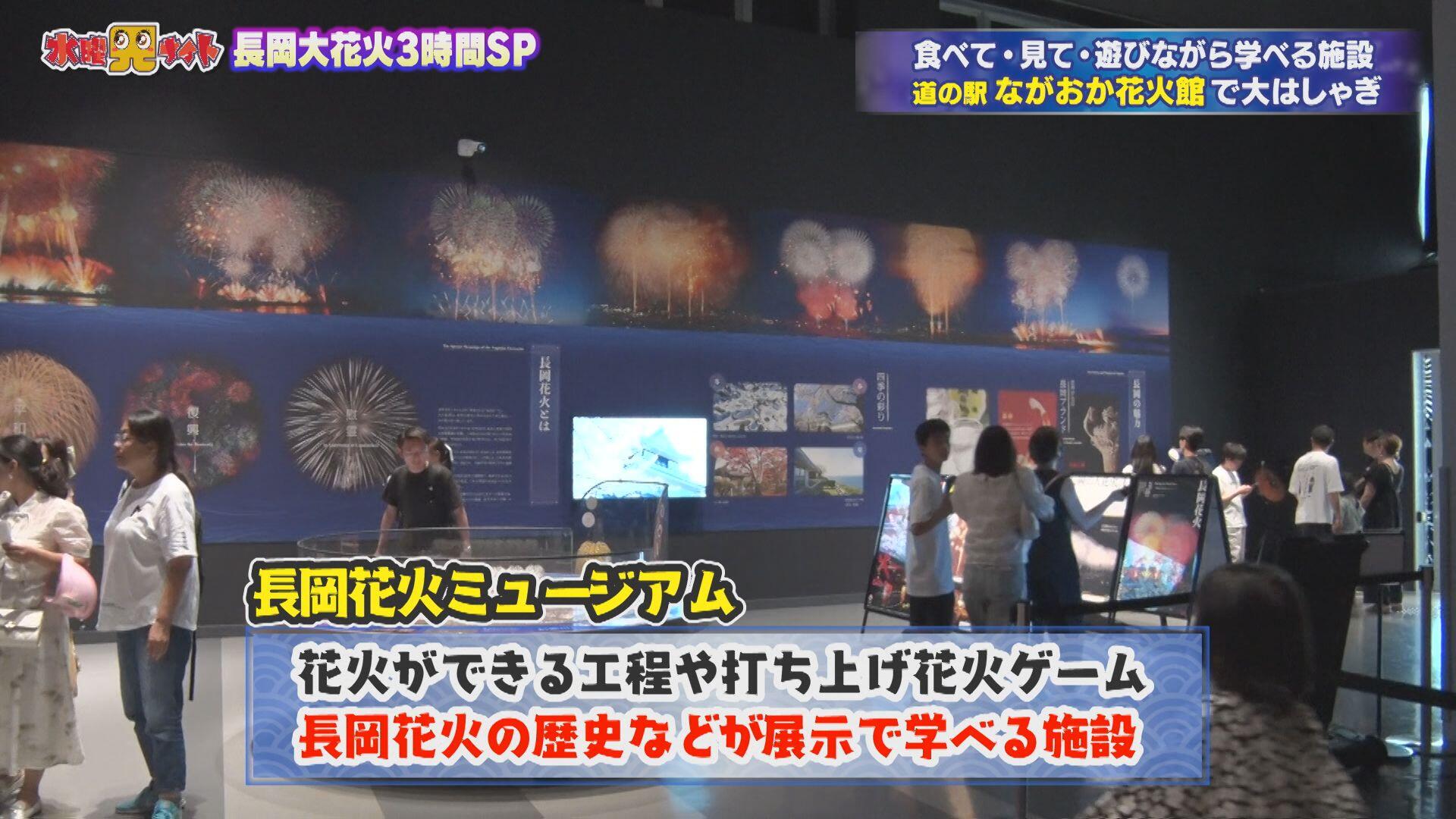 道の駅 ながおか花火館_画像2