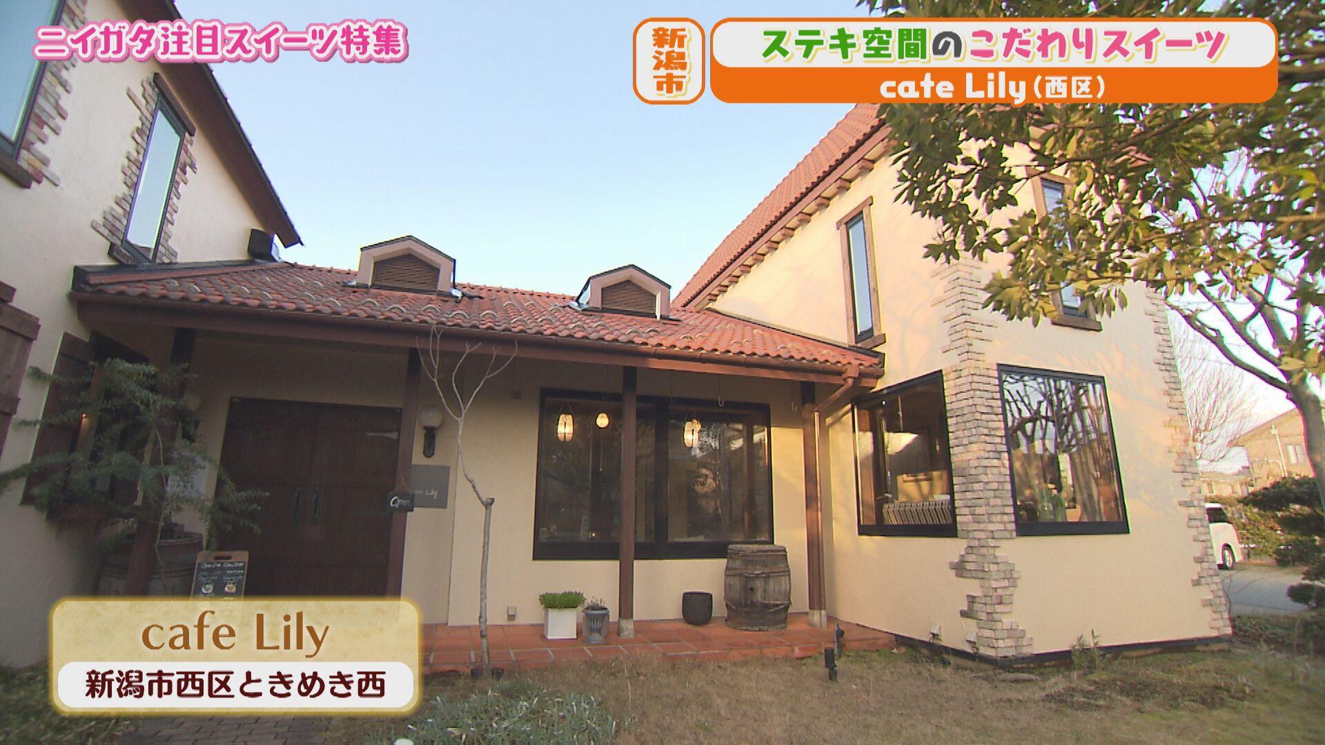 cafe Lily＿画像１