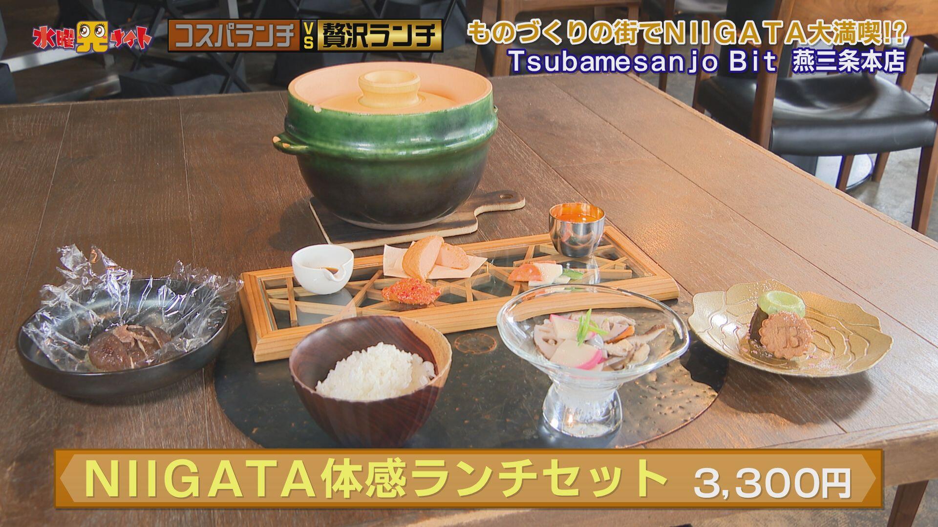 Tsubamesanjo Bit 燕三条本店＿画像２