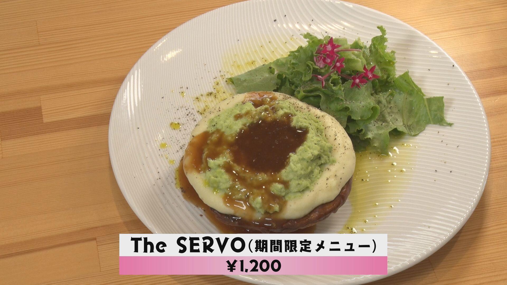 SERVO＿画像２
