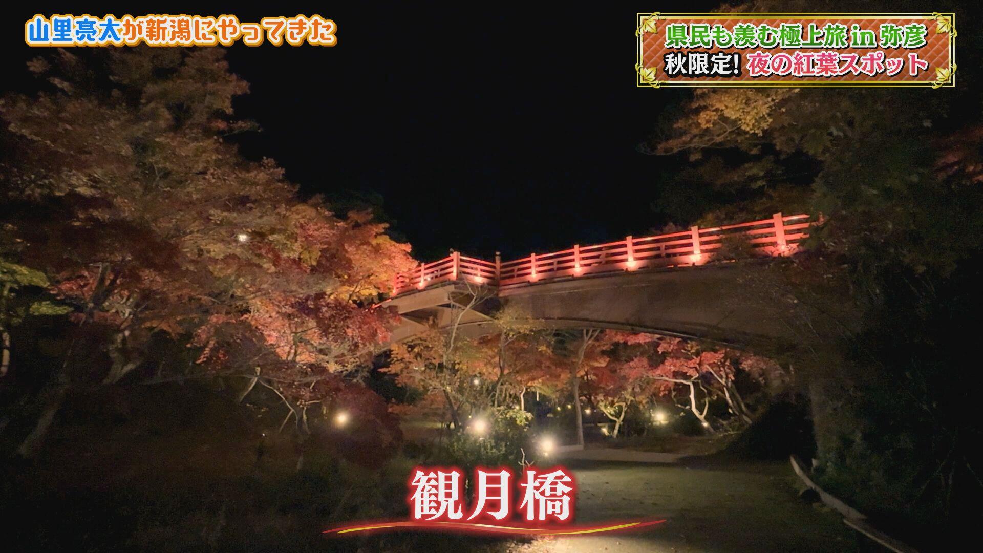 
                  弥彦公園 もみじ谷＿画像２