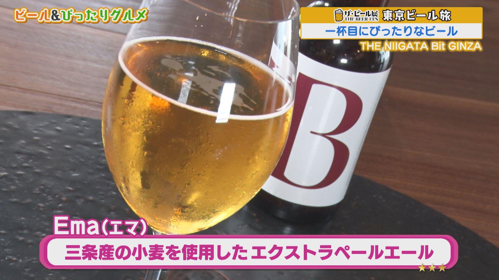 THE NIIGATA Bit GINZA＿画像２