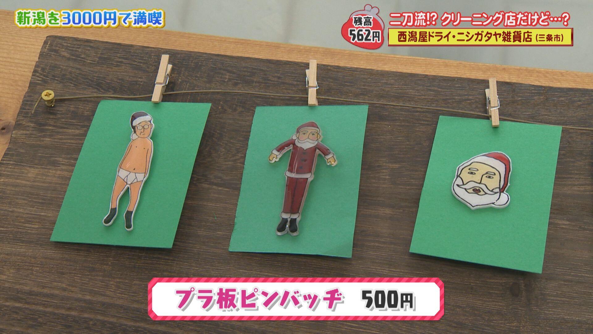 
                  西潟屋ドライ（ニシガタヤ雑貨店）＿画像２