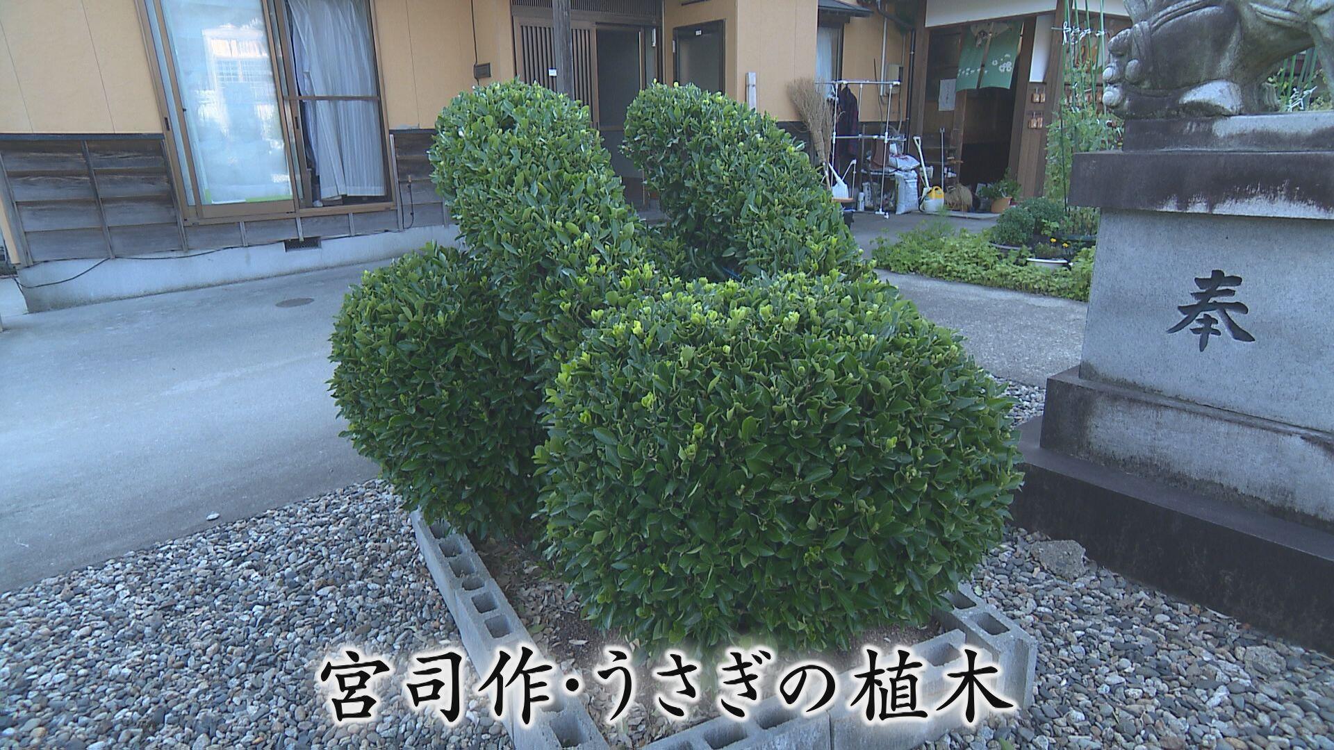 光兎神社＿画像２