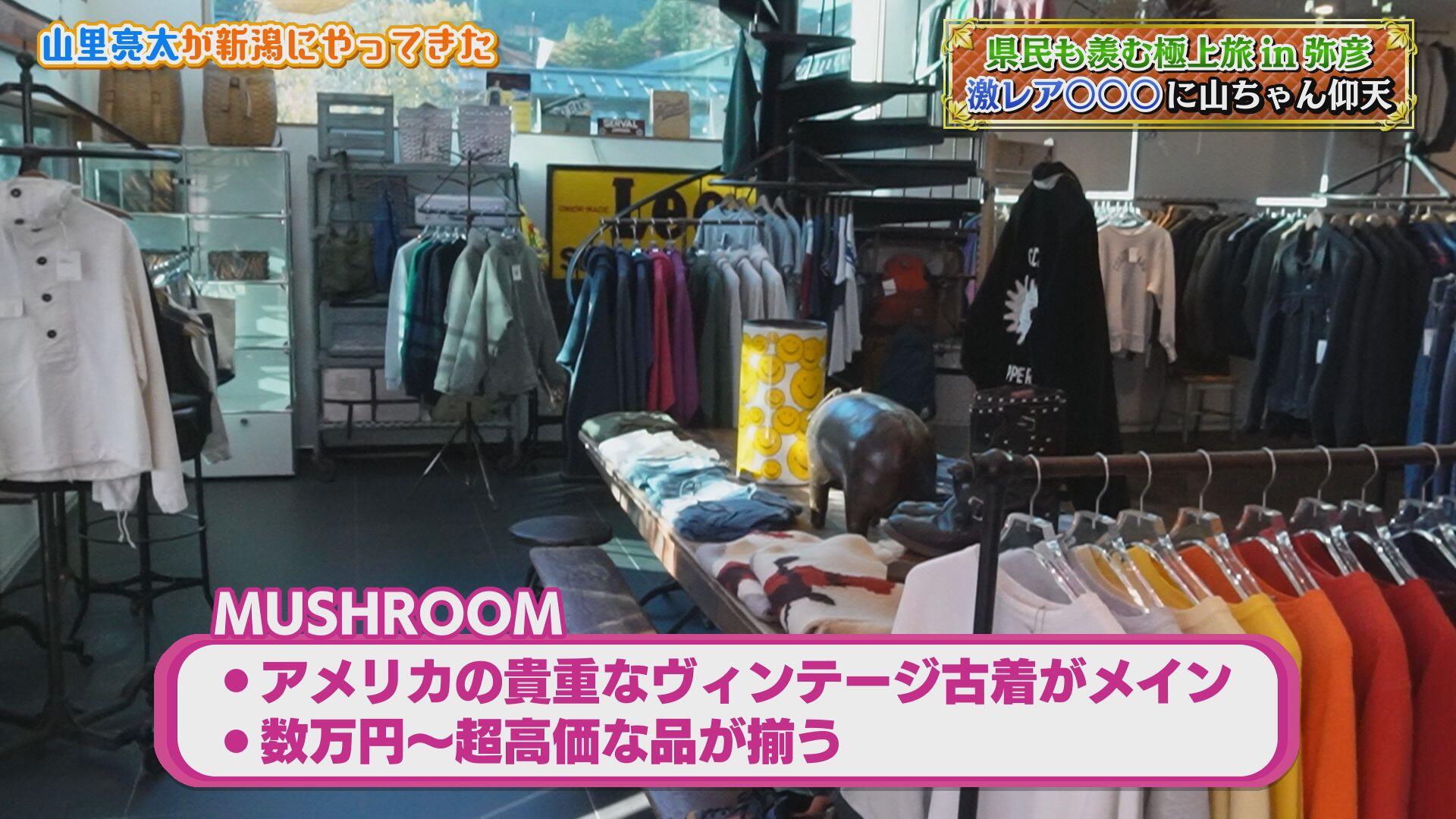 
                  MUSHROOM＿画像２