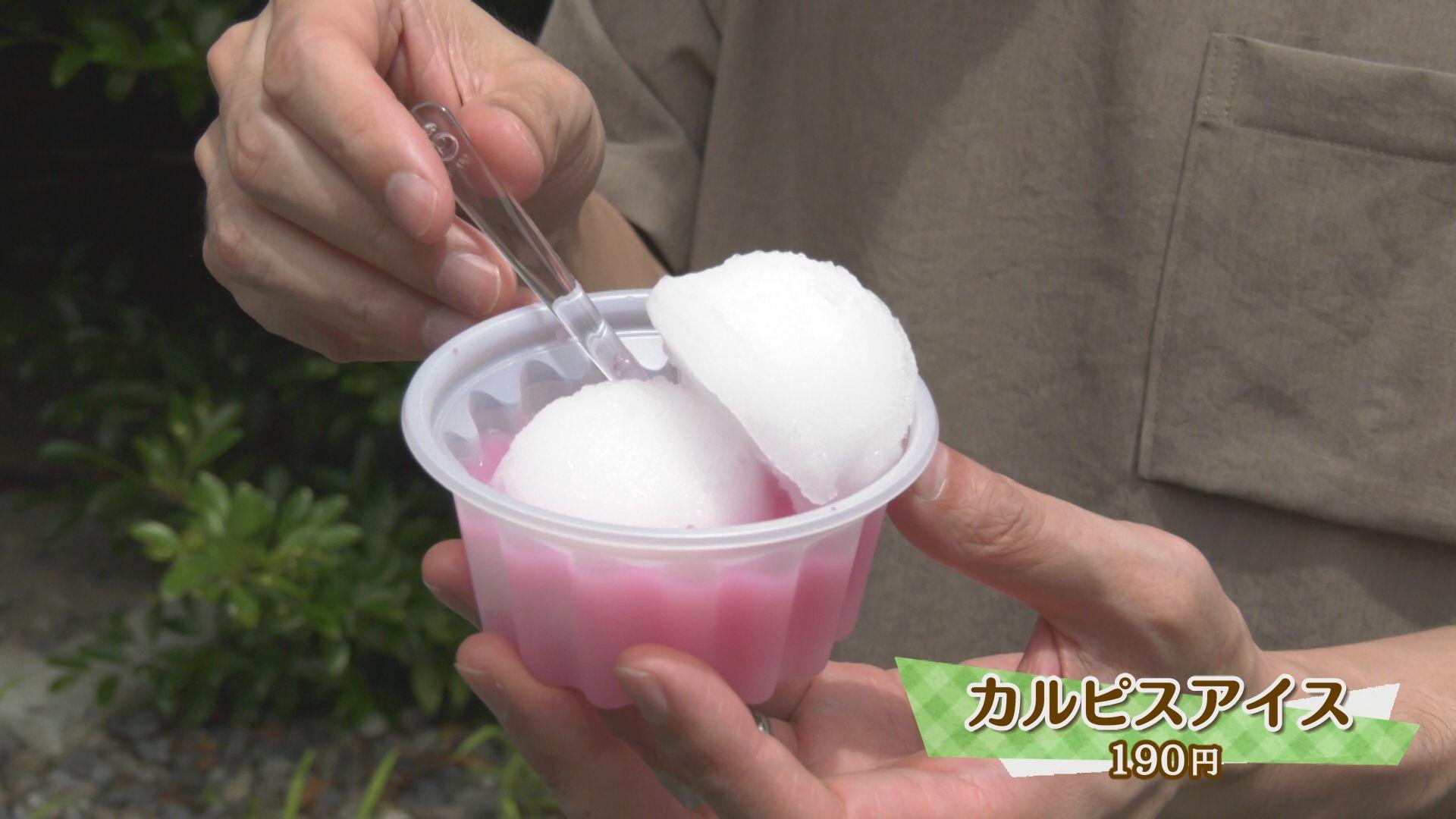 8月19日_イメージ８